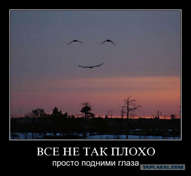 Фотографии с мобильного телефона