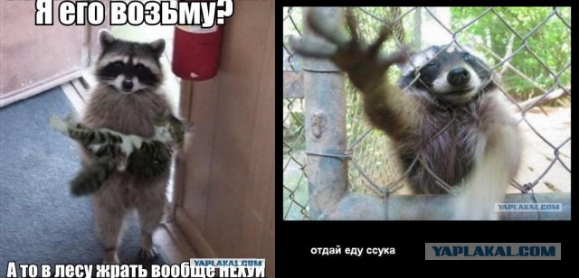 Фотки из интернета.