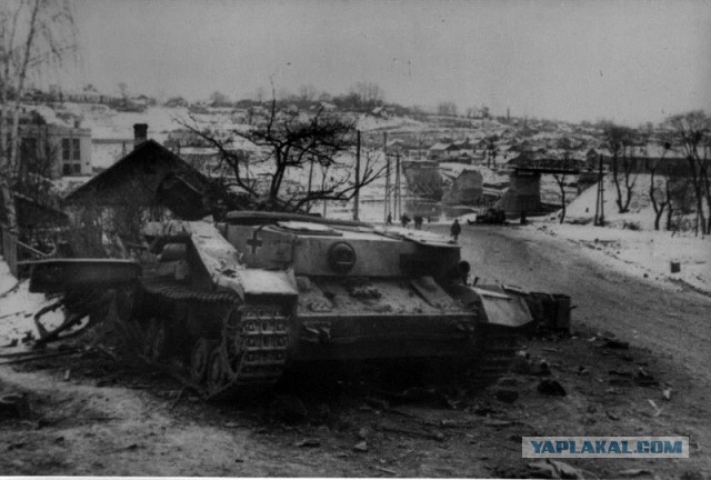 Wargaming 12, WoT сотоварищи