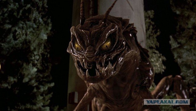 Что за "животное"?