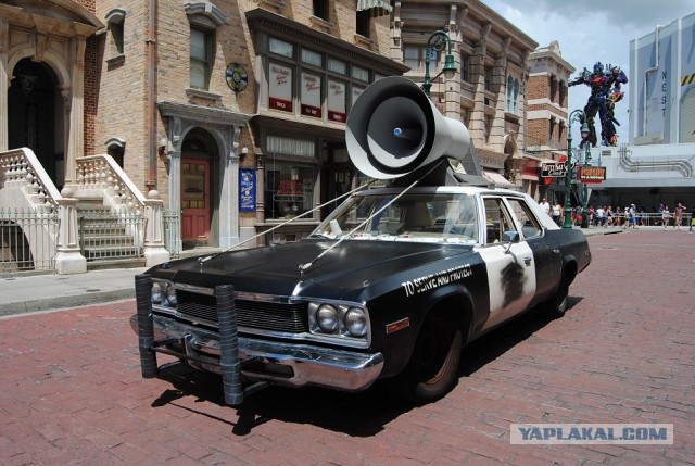 Каникулы во Флориде