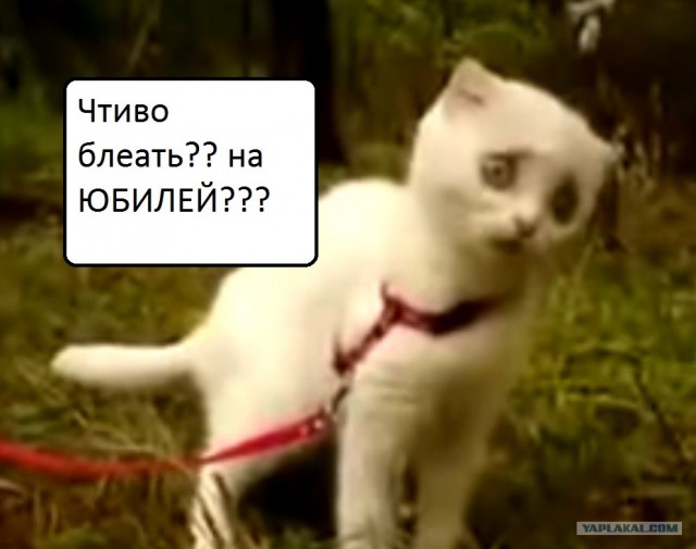Как подарить человеку денежку на ДР?
