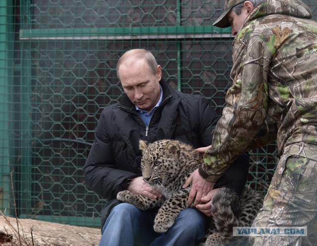 Путин, который смотрит на разные вещи по-разному..