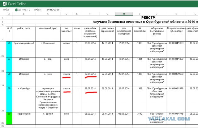 История о бешенстве и почему оно так ужасно
