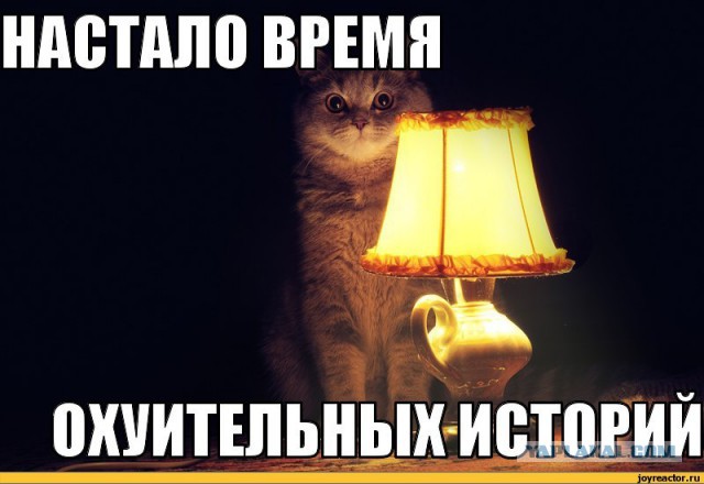 "С" - скромность