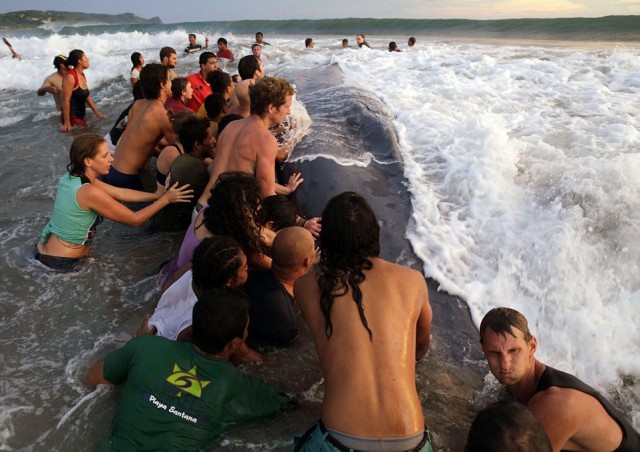 Как 50 человек пытались вернуть в море