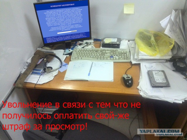 Быт программиста