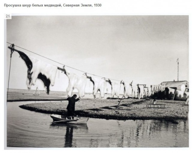 Подборка редких фотографий со всего мира. Часть 15