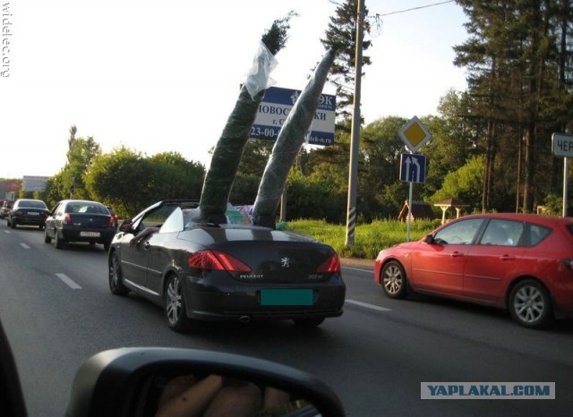 Автоприколы