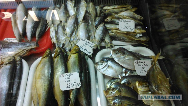 Опять Донецк и наши цены