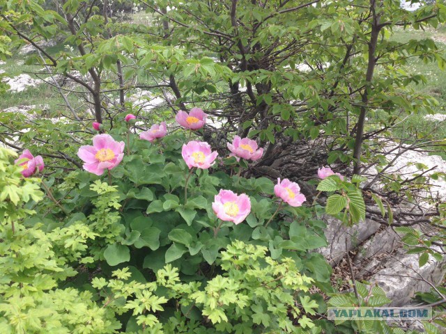 Путешествие автостопом из Донецка в Севастополь.