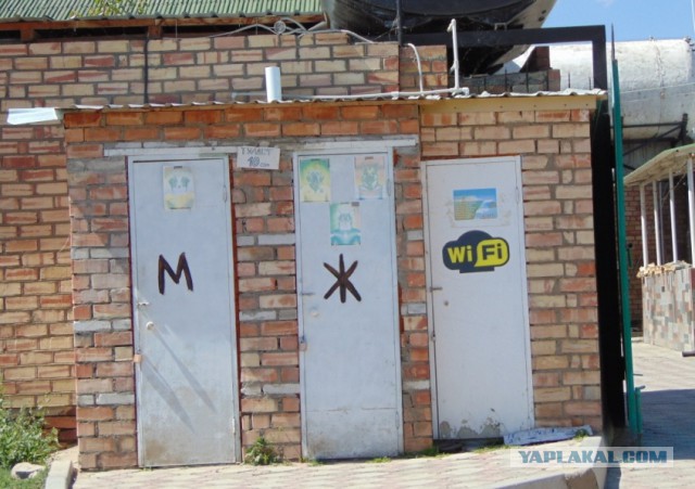 Картинки