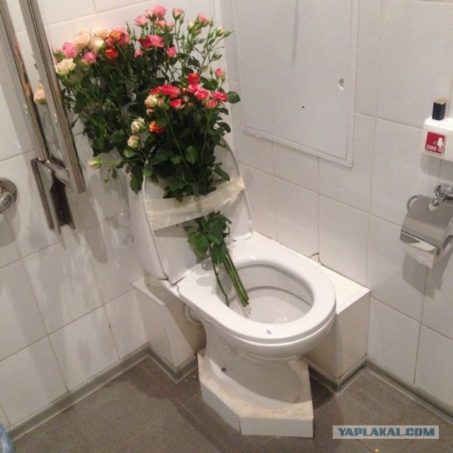 Картинки и приколы из соцсетей