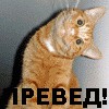 Превед медвед!