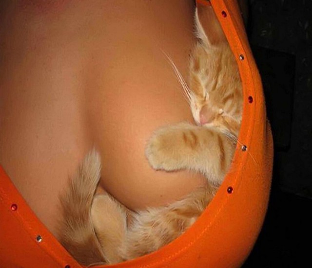 Грудь может служить разным целям