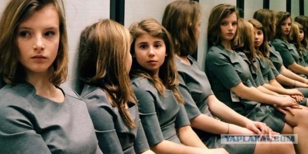 Сколько девочек на фото?