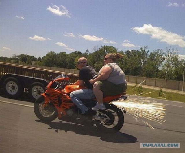 Подборка интересных и веселых фото