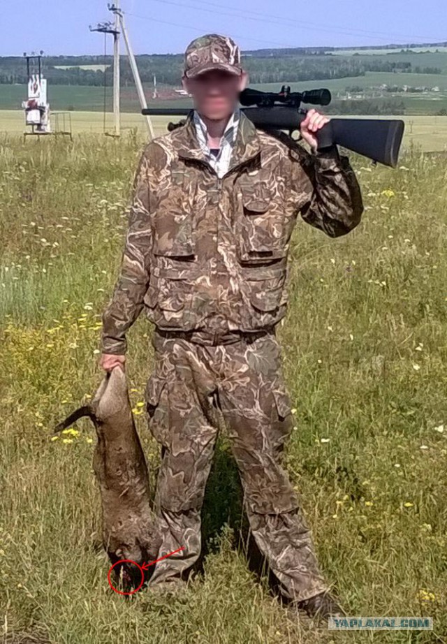В Татарстане охотник выстрелил в девушку, делающую селфи, приняв ее за сурка