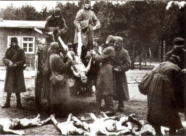 Дневник лагерного охранника. Stalag XD(310) Wietzendorf . 1942