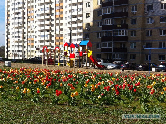 Кладбищенская принцесса: история девушки, живущей среди могил