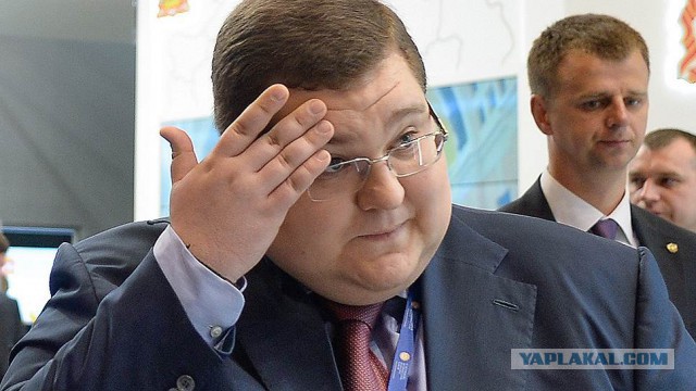 Поклонская предлагает контролировать доходы бывших жён чиновников