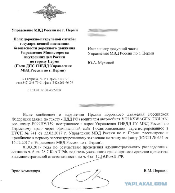 Неадекватная женщина на тигуане понесла наказание