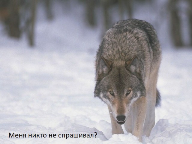 Футбол. Чемпионат России 2017-2018 часть 2