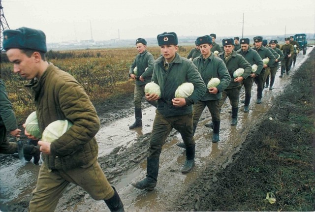 Су-57 и другие: какие новинки Россия демонстрирует в Сирии