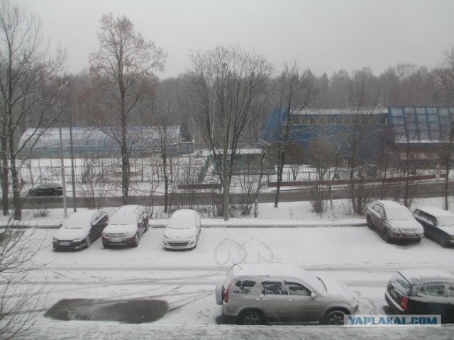 Позитив на снегу