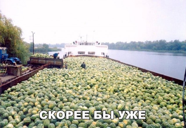 Нестандартный юмор