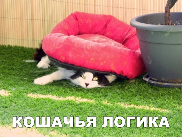 Нестандартный юмор