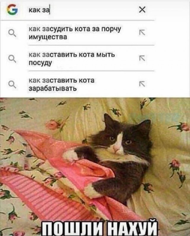 Аморальный юмор в картинках
