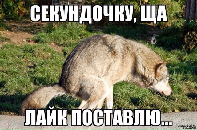 Сударыня спрашивает: есть у кого подобный опыт?