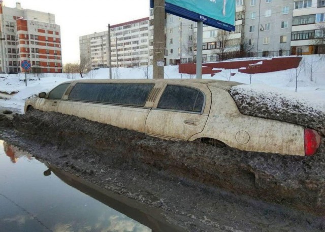 И всё-таки она наша. Лента картинок