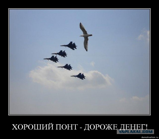 А что вы знаете о понтах?