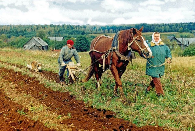 Хорошо в деревне летом