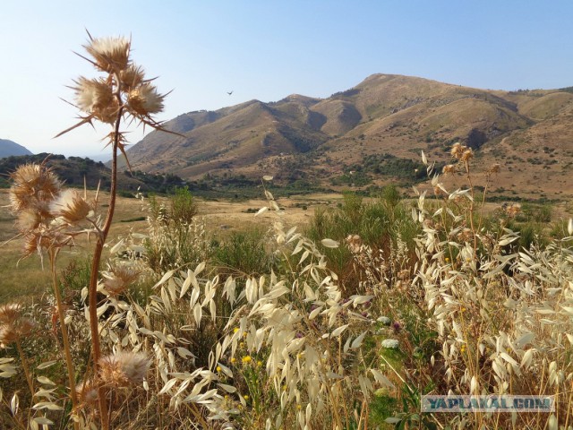 Сыр, груши и классовая ненависть