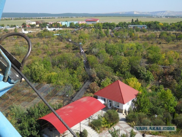 Как крымские чиновники кошмарят уникальный в мире парк львов.