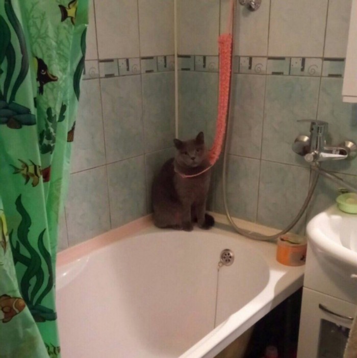 В Подмосковье мальчика назвали Путислав