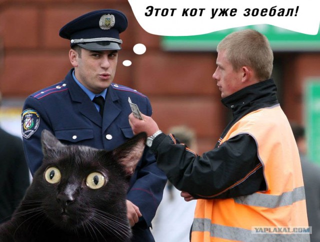 Фотожаба: Ты че, спалимся!