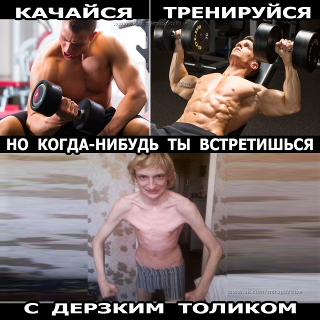 Веселые картинки