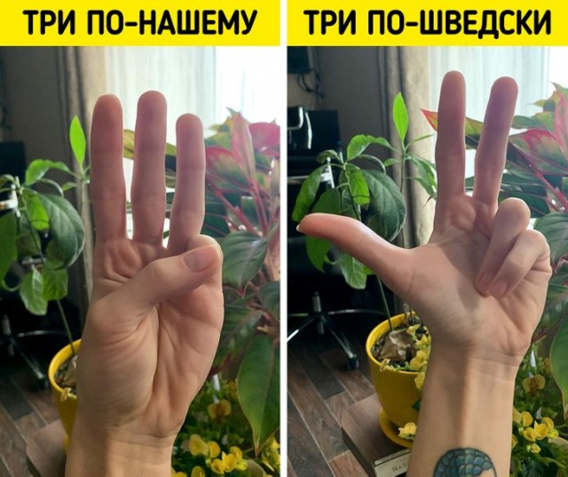 Рутинные для Швеции вещи, которые вызывают только один вопрос: «А что, так можно было?»