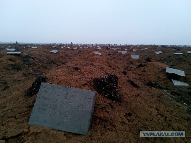 Зеленский предложил украинцам готовиться к партизанской войне