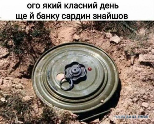 Разной степени баянности пикчи