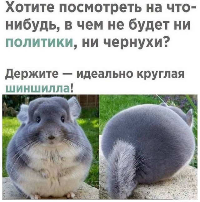 Картинки с надписями и всякие жизненные фразы 6.07.21