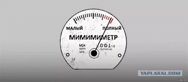 Привела знакомиться