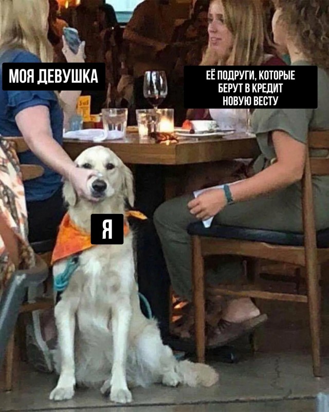 Весёлый полтишок 10.08