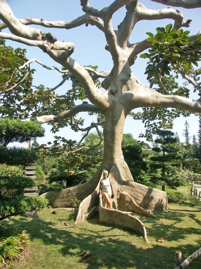 Деревенская Америка - 8