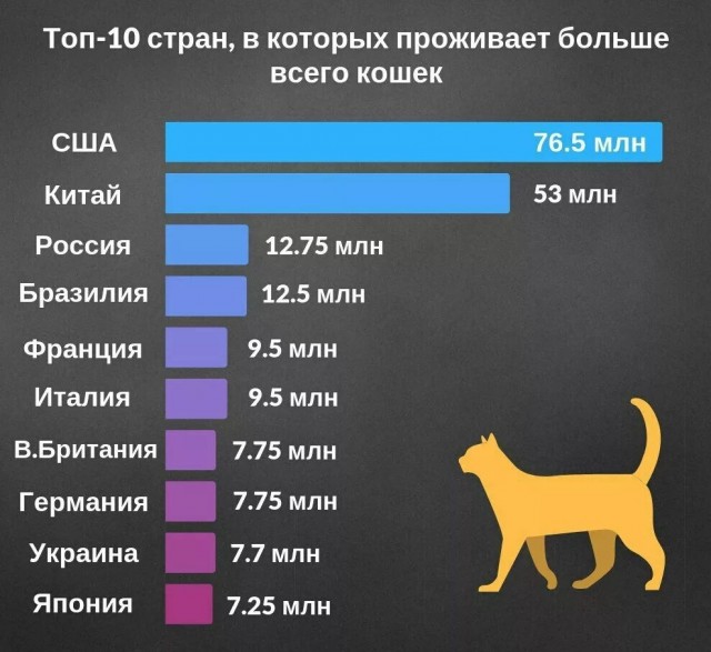 Эйдельман: США Бомбят чтобы спасти⁠⁠