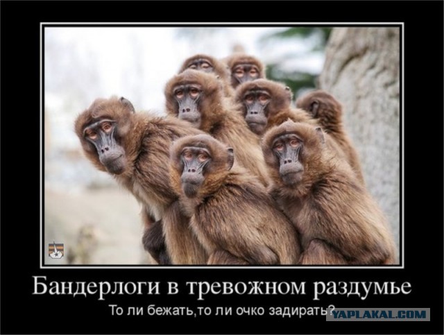 Одесса.